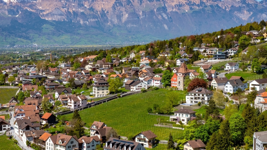 Visite officielle du Secrétaire Général Alain Berset au Liechtenstein